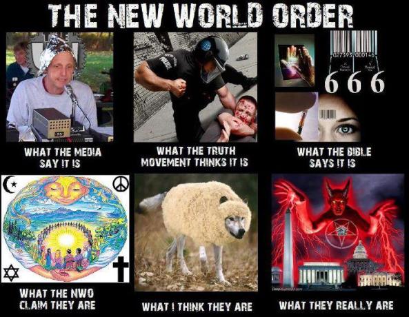 NWO-What they Really Are